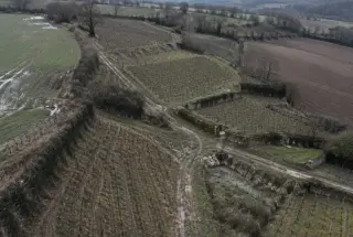 Aerial documentary view of fragmented sloping farmland and vineyard parcels in Wallonia during late winter, divided by hedgerows and muddy tracks.